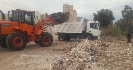 تشجيعًا للاستثمار الأخضر.. حوافز لمشروعات المخلفات الزراعية