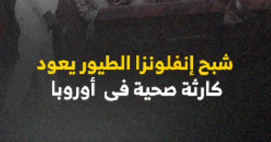 شبح إنفلونزا الطيور يعود.. كارثة صحية فى أوروبا.. فيديو 