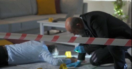 ضبط المتهم بقتل مهندس نووى بالإسكندرية والسلاح المستخدم فى الجريمة.. فيديو