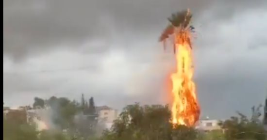 صواعق البرق تحرق الأشجار والنخيل وسط إسرائيل.. فيديو