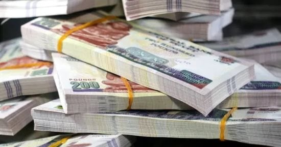  كيف تكشف شركات توظيف الأموال الوهمية قبل خسارة مدخراتك؟
