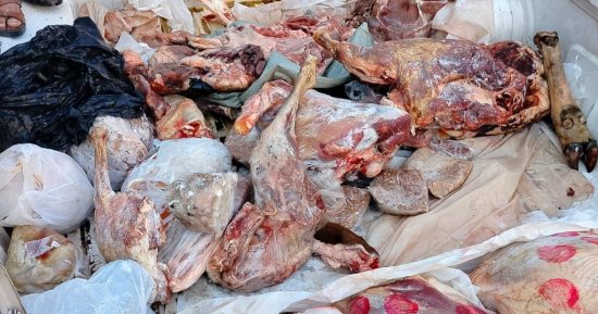 بيطرى الشرقية ينفذ 47 حملة تفتيشية ويضبط 93 طن لحوم غير صالحة 