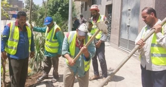 مشروع ميادين خضراء بقلب المدن لتطوير وزيادة المسطحات الخضراء.. صور
