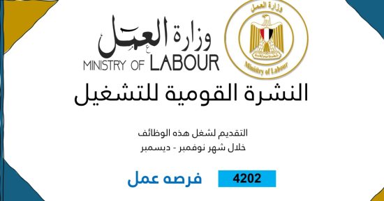 وزارة العمل تعلن 4202 فرصة عمل جديدة في 53 شركة بـ 14 محافظة.. تفاصيل