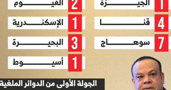 إلغاء الانتخابات بـ19 دائرة ومواعيد التصويت الجديدة.. إنفوجراف