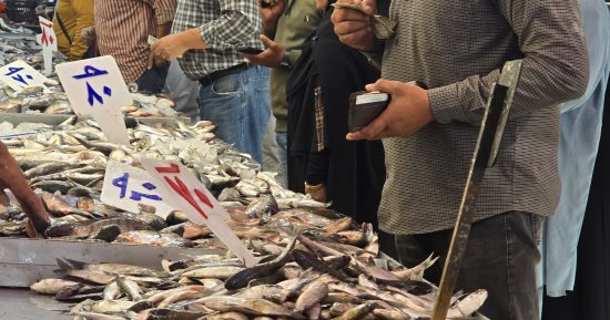 تبدأ من 30 جنيه.. استقرار فى أسعار الأسماك بأسواق دمياط اليوم