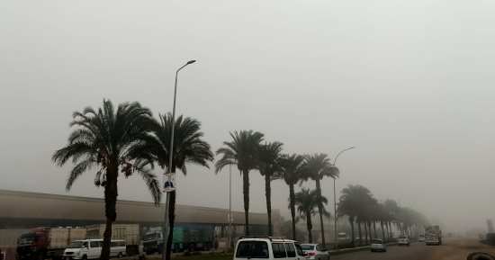 شبورة مائية كثيفة على معظم الأنحاء بمحافظة المنوفية.. فيديو