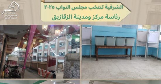 الشرقية تنهى استعداداتها لانتخابات النواب 2025