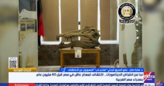 سارة صابر: اكتشاف تمساح عاش في مصر قبل 80 مليون عام يحمل أهمية علمية كبرى