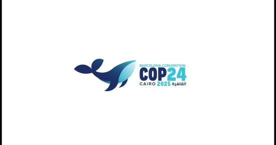 7 بروتوكولات تدعمهم اتفاقية برشلونة لحماية البحر المتوسط من التلوث