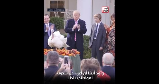 ترامب يستضيف ديك رومى فى البيت الأبيض ويقرر عدم ذبحه احتفالا بعيد الشكر.. فيديو