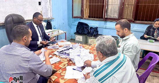 بالأرقام.. مؤشرات اللجنة الفرعية رقم 19 بدائرة دار السلام والبساتين