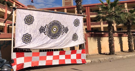 انتظام عملية التصويت فى انتخابات مجلس النواب بالغربية.. فيديو