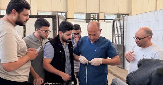 ‎تقنيات حديثة لتشخيص وعلاج المشاكل التناسلية فى الخيول وحيوانات المزرعة