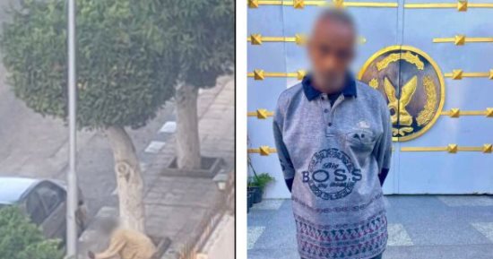 القبض على عاطل سرق كابلات كهربائية من أعمدة إنارة ببورسعيد