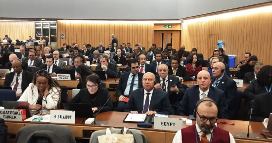 النقل: مصر تفوز بعضوية مجلس المنظمة البحرية الدولية الفئة "C"