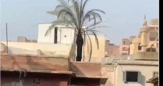  أول لقطات من داخل استوديو مصر بعد الحريق الضخم.. فيديو 
