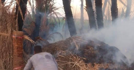 السيطرة على حريق بأشجار النخيل فى إسنا قبل امتداده للمنازل