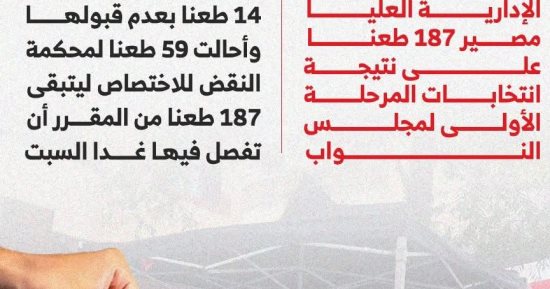 الإدارية العليا تفصل اليوم في مصير 187 طعنًا على نتيجة المرحلة الأولى.. إنفوجراف