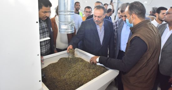 جهود محافظة أسيوط فى مجال زراعة النباتات الطبية والعطرية.. تفاصيل
