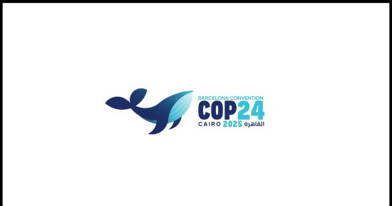 اليوم.. القاهرة تحتضن فعاليات COP24 بمشاركة 21 دولة