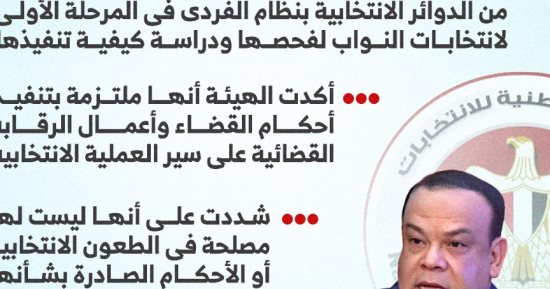 الوطنية للانتخابات تنتظر أحكام الإدارية العليا بإلغاء دوائر المرحلة الأولى لدراستها