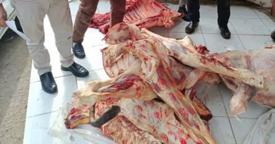 الزراعة: ضبط أكثر من 682 طناً من اللحوم الفاسدة وتحرير 1060 محضرًا .. صور