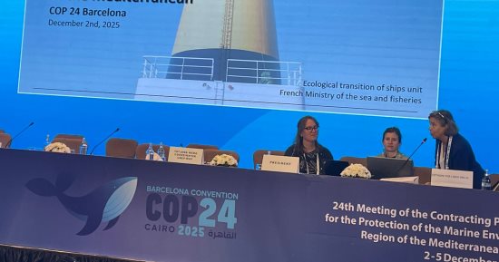 على هامش اليوم الأول COP24.. عرض تجارب في تحقيق الاستدامة البيئية والحياد الكربوني