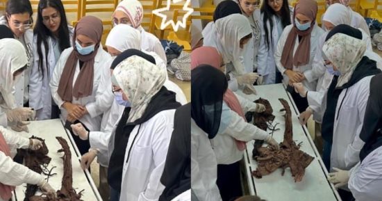 جامعة القاهرة الأهلية تعزز التدريب العملى لطلاب العلاج الطبيعى بمعامل التشريح