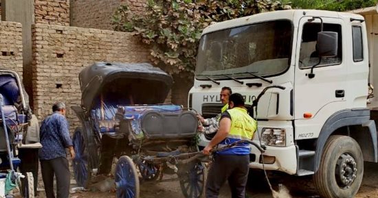 التحفظ على 3 عربات حنطور مخالفة ألقت روث الخيل بشوارع مدينة الأقصر.. صور