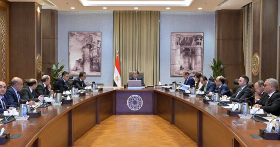 رئيس الوزراء يُتابع جهود توافر الأدوية وموقف مستحقات شركات الدواء