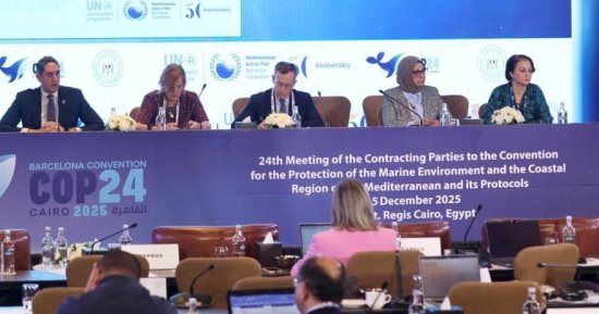 خلال Cop24: الموانئ الرقمية الخضراء أحد مهام الإطار الوطنى المتكامل للاقتصاد الأزرق