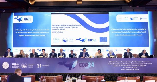 الاقتصاد الأزرق ودور العلم والقطاع الخاص والبرلمانيين تستحوذ على أحداث COP24