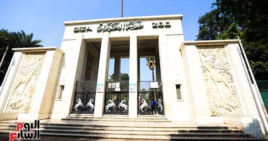 135 عامًا من التاريخ.. هل تبدأ جنينة الحيوان فصلًا جديدًا يعيدها إلى القمة؟ 