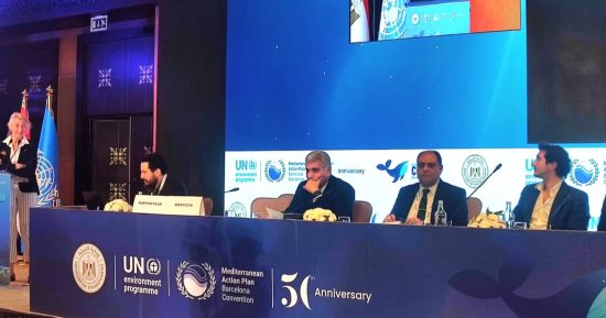 استعراض تجربة مصر للحد من التلوث البحرى ومخلفات البلاستيك والأراضى الرطبة بـcop24