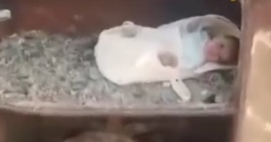 مشهد مؤلم يهز العراق.. العثور على رضيع مُلقى على طريق البصرة.. فيديو