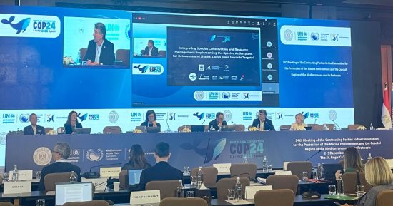 المشاركون بـCop24 يبحثون تعزيز شراكات الاقتصاد الدائري من أجل بحر متوسط خالٍ من البلاستيك