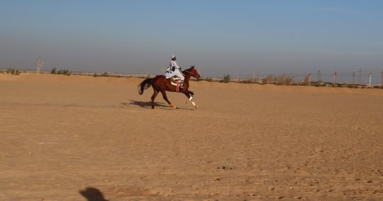 سباقات المرماح.. تراث شعبى متجذر عبر القرون فى صعيد مصر.. وديان بنبان بأسوان تتحول إلى مسرح للفروسية.. خيول القبائل تحافظ على التراث الإنسانى فى الجنوب.. والأهالى: السباق هدفه غرس قيم الأصالة والتنافس.. صور