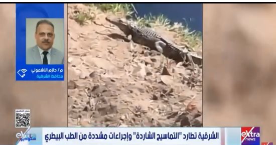 محافظ الشرقية لـ ستوديو إكسترا: لجنة لكشف لغز تماسيح المصرف