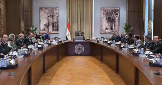 رئيس الوزراء يتابع تطوير قطاع الغزل والنسيج والاستغلال الأمثل لبعض الأصول