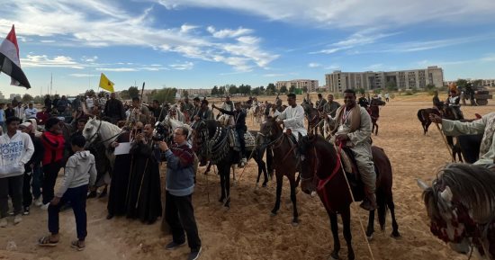 تنظيم أول مهرجان للفروسية فى جامعة قنا.. صور