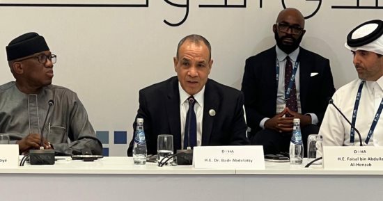 وزير الخارجية: الصومال يُمثل ركنا أساسيا فى منظومة الأمن القومى المصرى