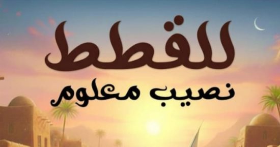 مناقشة رواية للقطط نصيب معلوم لـ طلال سيف.. الثلاثاء