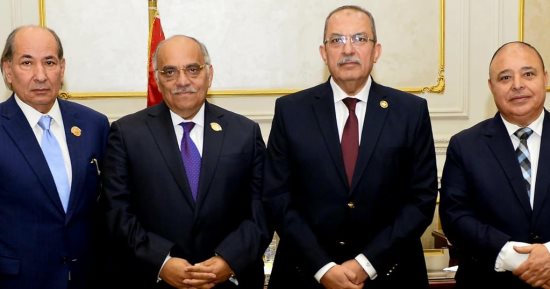 من الصيدلة إلى التأمين الصحى.. دراسة شاملة للأثر التشريعى تحت قبة الشيوخ