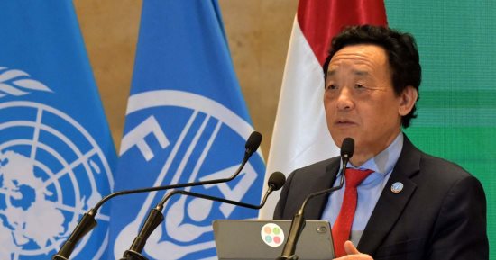 المدير العام لـ الفاو يثمن جهود الرئيس السيسى والحكومة فى دعم نشاط المنظمة