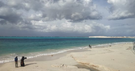 أجواء غائمة على مطروح وسطوع متقطع للشمس ونشاط الرياح أحيانا.. فيديو