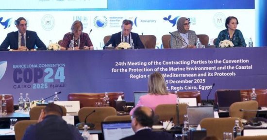 10 قرارات مهمة اعتمدها المشاركون فى COP24 بالقاهرة.. تعرف عليها