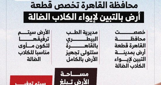 تفاصيل تخصيص قطعة أرض بالقاهرة لإيواء الكلاب الضالة.. انفوجراف