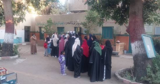 الطوابير تزين لجان إدفو فى جولة الإعادة الملغاة