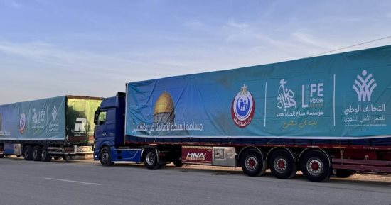 التحالف الوطنى يسيّر 19 شاحنة ألبان أطفال بوزن 9.5 طن إلى قطاع غزة